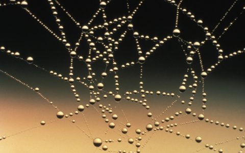 Connected with industry